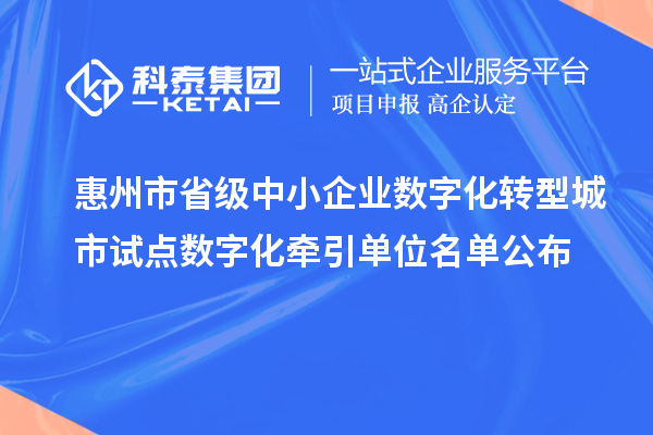 惠州市省級(jí)中小企業(yè)數(shù)字化轉(zhuǎn)型城市試點(diǎn)數(shù)字化牽引單位名單公布