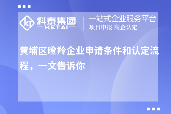 黃埔區(qū)瞪羚企業(yè)申請(qǐng)條件和認(rèn)定流程，一文告訴你