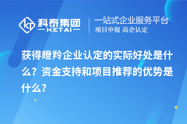 獲得瞪羚企業(yè)認定的實際好處是什么？資金支持和項目推薦的優(yōu)勢是什么？