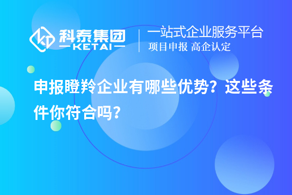 申報瞪羚企業(yè)有哪些優(yōu)勢？這些條件你符合嗎？