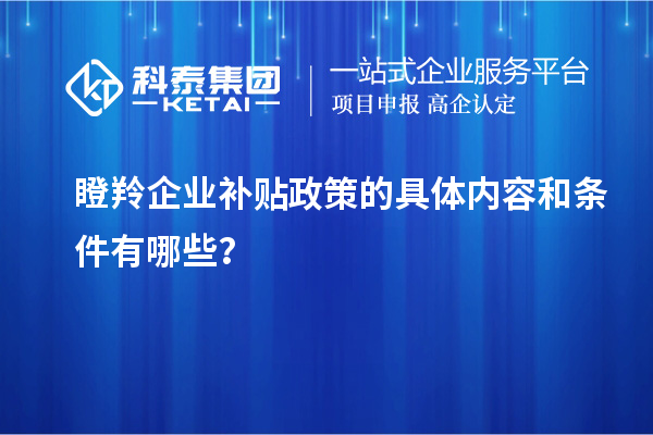 瞪羚企業(yè)補貼政策的具體內(nèi)容和條件有哪些？