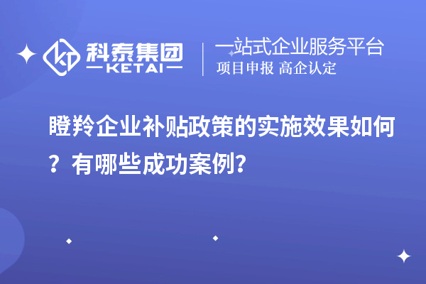 瞪羚企業(yè)補(bǔ)貼政策的實(shí)施效果如何？有哪些成功案例？