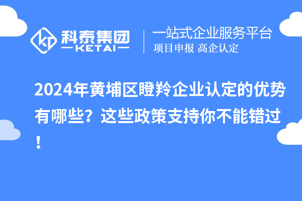 2024年黃埔區(qū)瞪羚企業(yè)認定的優(yōu)勢有哪些？這些政策支持你不能錯過！