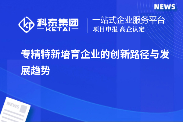 專精特新培育企業(yè)的創(chuàng)新路徑與發(fā)展趨勢