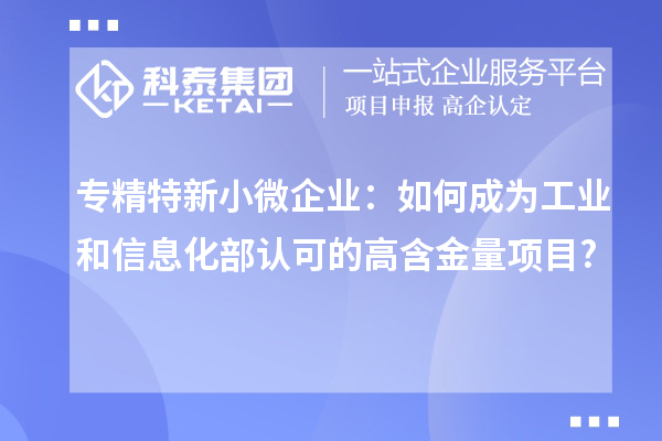 專(zhuān)精特新小微企業(yè)：如何成為工業(yè)和信息化部認(rèn)可的高含金量項(xiàng)目?