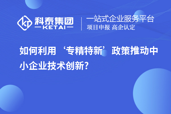 如何利用‘專精特新’政策推動中小企業(yè)技術創(chuàng)新?