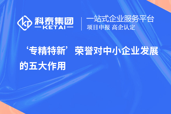 ‘專精特新’榮譽對中小企業(yè)發(fā)展的五大作用