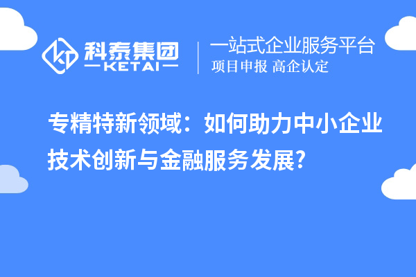 專精特新領(lǐng)域：如何助力中小企業(yè)技術(shù)創(chuàng)新與金融服務(wù)發(fā)展?