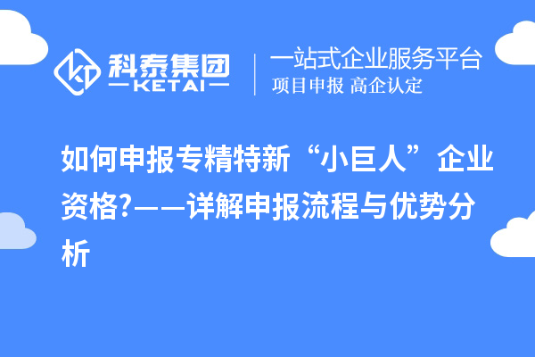 如何申報(bào)專(zhuān)精特新“小巨人”企業(yè)資格?——詳解申報(bào)流程與優(yōu)勢(shì)分析