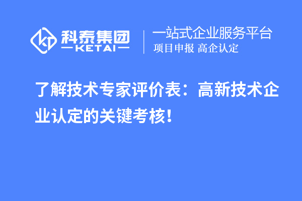 了解技術(shù)專家評(píng)價(jià)表：高新技術(shù)企業(yè)認(rèn)定的關(guān)鍵考核！