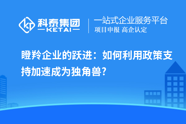 瞪羚企業(yè)的躍進：如何利用政策支持加速成為獨角獸?