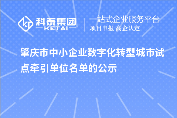 肇慶市中小企業(yè)數(shù)字化轉(zhuǎn)型城市試點(diǎn)牽引單位名單的公示