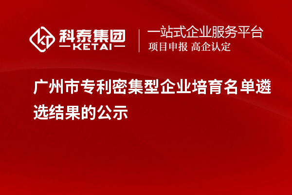 廣州市專利密集型企業(yè)培育名單遴選結果的公示