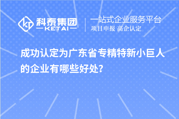 成功認(rèn)定為廣東省專精特新小巨人的企業(yè)有哪些好處？