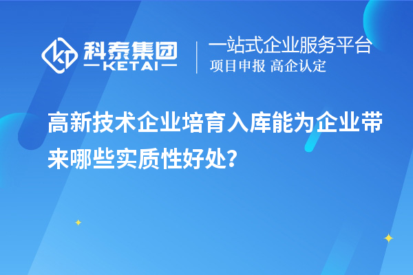 高新技術(shù)企業(yè)培育入庫能為企業(yè)帶來哪些實質(zhì)性好處？