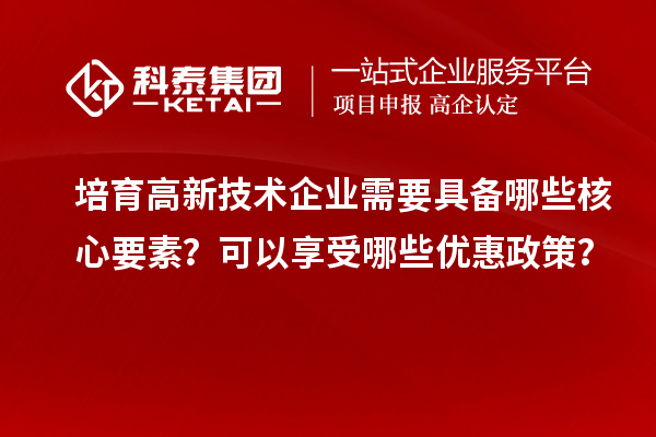 培育高新技術(shù)企業(yè)需要具備哪些核心要素？可以享受哪些優(yōu)惠政策？