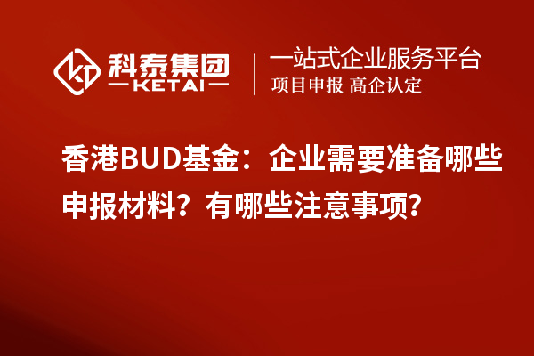 香港BUD基金：企業(yè)需要準(zhǔn)備哪些申報(bào)材料？有哪些注意事項(xiàng)？