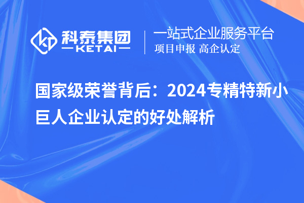 國(guó)家級(jí)榮譽(yù)背后：2024專精特新小巨人企業(yè)認(rèn)定的好處解析