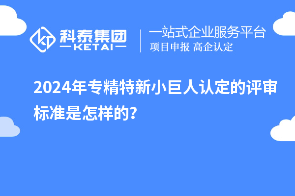 2024年專精特新小巨人認定的評審標準是怎樣的？