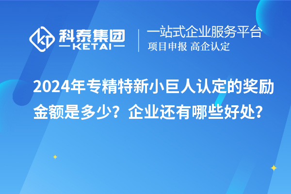 2024年專精特新小巨人認(rèn)定的獎勵金額是多少？企業(yè)還有哪些好處？