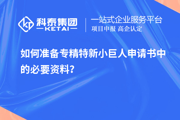 如何準備專精特新小巨人申請書中的必要資料？