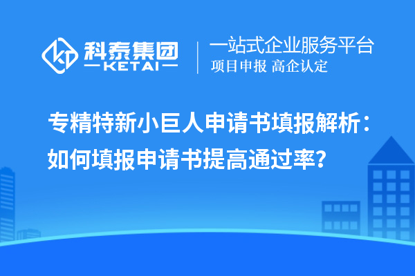 專精特新小巨人申請(qǐng)書填報(bào)解析：如何填報(bào)申請(qǐng)書提高通過率？