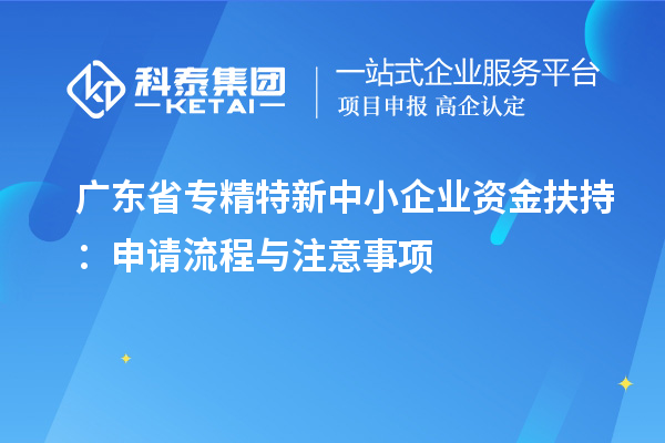 廣東省專(zhuān)精特新中小企業(yè)資金扶持：申請(qǐng)流程與注意事項(xiàng)