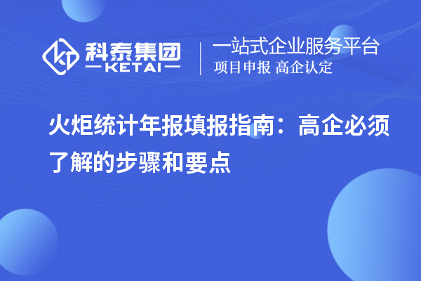 火炬統(tǒng)計年報填報指南：高企必須了解的步驟和要點