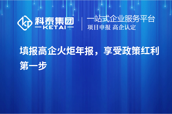 填報(bào)高企火炬年報(bào)，享受政策紅利第一步