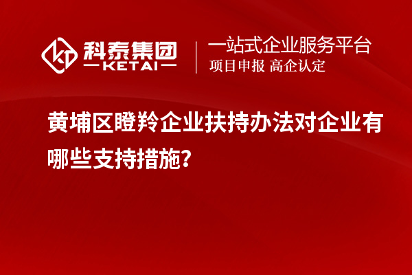 黃埔區(qū)瞪羚企業(yè)扶持辦法對企業(yè)有哪些支持措施？