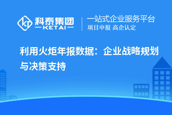 利用火炬年報數(shù)據(jù)：企業(yè)戰(zhàn)略規(guī)劃與決策支持