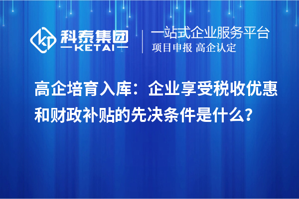 高企培育入庫(kù)：企業(yè)享受稅收優(yōu)惠和財(cái)政補(bǔ)貼的先決條件是什么？