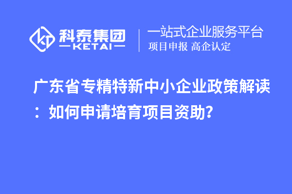 廣東省專精特新中小企業(yè)政策解讀：如何申請培育項目資助？