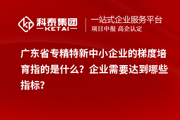 廣東省專精特新中小企業(yè)的梯度培育指的是什么？企業(yè)需要達(dá)到哪些指標(biāo)？