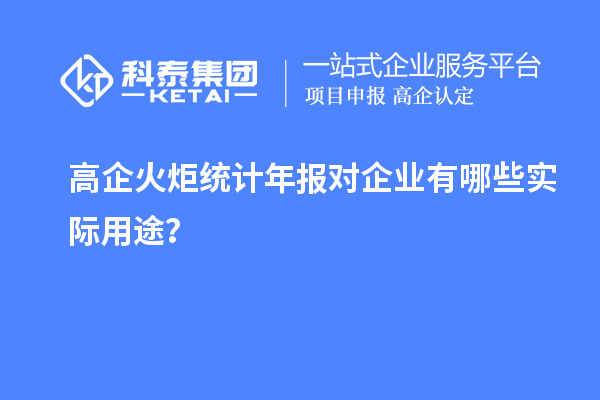 高企火炬統(tǒng)計(jì)年報(bào)對(duì)企業(yè)有哪些實(shí)際用途？