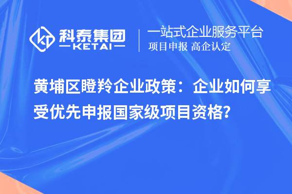 黃埔區(qū)瞪羚企業(yè)政策：企業(yè)如何享受優(yōu)先申報(bào)國(guó)家級(jí)項(xiàng)目資格？