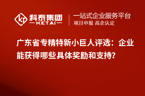 廣東省專精特新小巨人評選：企業(yè)能獲得哪些具體獎勵和支持？