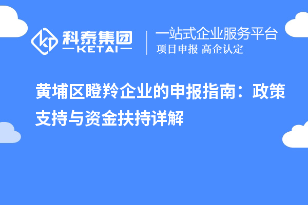 黃埔區(qū)瞪羚企業(yè)的申報指南：政策支持與資金扶持詳解