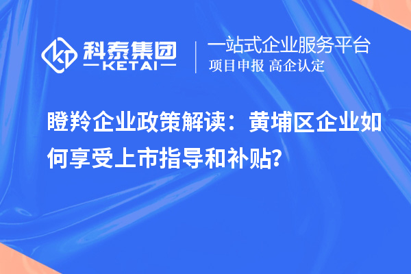 瞪羚企業(yè)政策解讀：黃埔區(qū)企業(yè)如何享受上市指導(dǎo)和補(bǔ)貼？