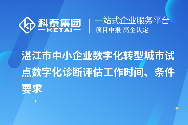 湛江市中小企業(yè)數(shù)字化轉(zhuǎn)型城市試點數(shù)字化診斷評估工作時間、條件要求