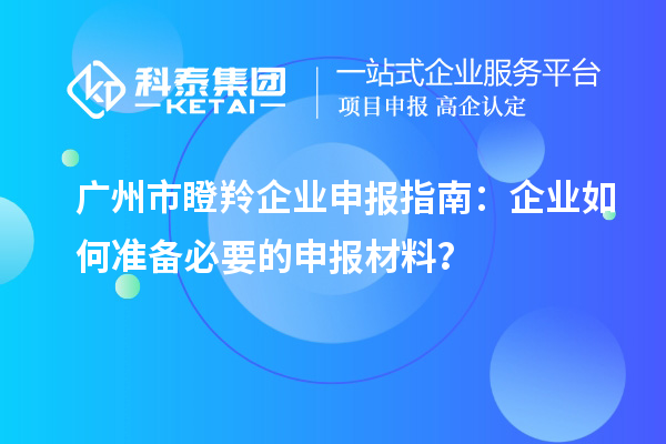 廣州市瞪羚企業(yè)申報(bào)指南：企業(yè)如何準(zhǔn)備必要的申報(bào)材料？