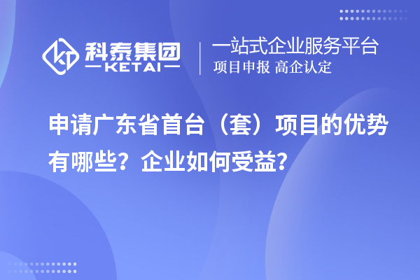 申請(qǐng)廣東省首臺(tái)（套）項(xiàng)目的優(yōu)勢(shì)有哪些？企業(yè)如何受益？