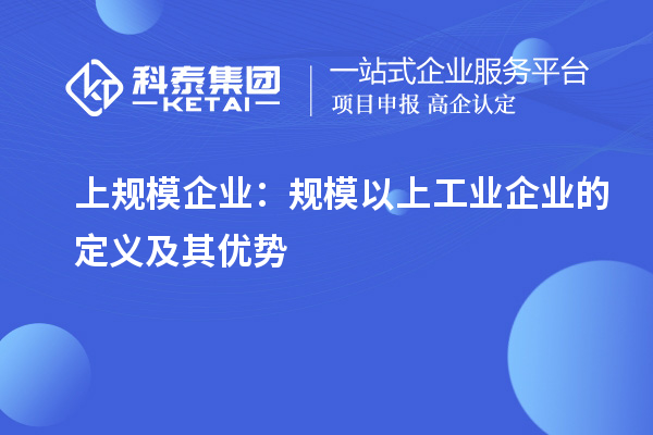 上規(guī)模企業(yè)：規(guī)模以上工業(yè)企業(yè)的定義及其優(yōu)勢