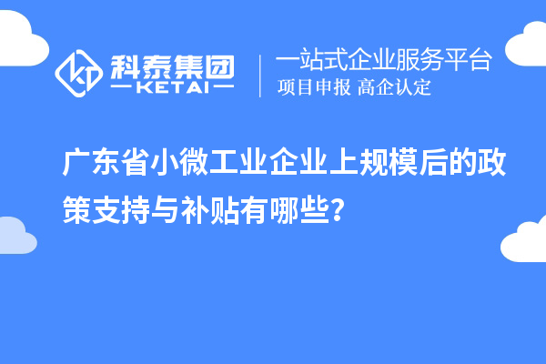 廣東省小微工業(yè)企業(yè)上規(guī)模后的政策支持與補貼有哪些？