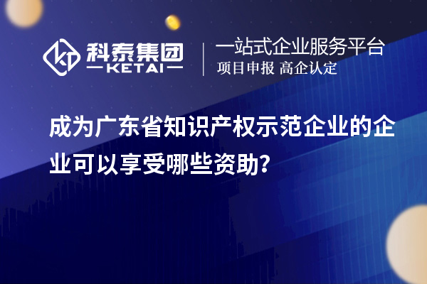 成為廣東省知識產(chǎn)權(quán)示范企業(yè)的企業(yè)可以享受哪些資助？