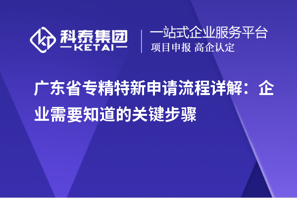 廣東省專精特新申請流程詳解：企業(yè)需要知道的關鍵步驟