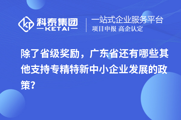 除了省級獎勵，廣東省還有哪些其他支持專精特新中小企業(yè)發(fā)展的政策？