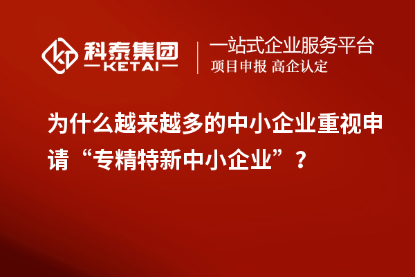 為什么越來越多的中小企業(yè)重視申請(qǐng)“專精特新中小企業(yè)”？