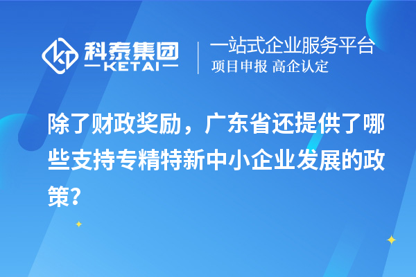 除了財(cái)政獎(jiǎng)勵(lì)，廣東省還提供了哪些支持專精特新中小企業(yè)發(fā)展的政策？