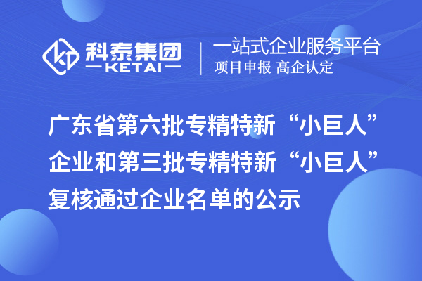 廣東省第六批專精特新“小巨人”企業(yè)和第三批專精特新“小巨人”復(fù)核通過企業(yè)名單的公示